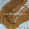 new crop yellw broomcorn millets high nutritious millet