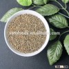 green broomcorn millets sell millet