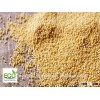Yellow Pearl Millet
