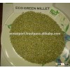 Millet From Dubai