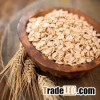 Certified organic rolled oats