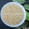 dried white millets proso millet