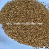 Yellow millet seed birds food pet's food yellow millet
