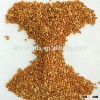 millet seed whole grain millet cheap millet for sale