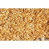 oat grain Oats/Hulled Oats Grade A for sale