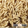 Milling Oats