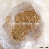 Horse feeds ingredients bulk oats