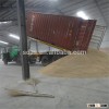 Finland raw oat for supply