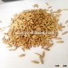 Hulled oats ,for human used process oatmeal with