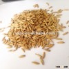 Multi-purpose oats for process cosmetics