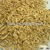 offer first grade rolled oats of Australia