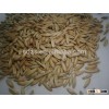 Edible grade raw oat for process