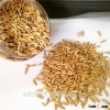 Top quality hulled oat for make wine and beer