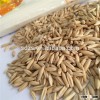 best quality original hulled oat with husk at cheap price