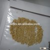 oat grains with competitive price