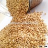 Oat grain for bird food