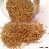 Naked oat from Canada oat factory with direct price