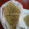 good price horse feed oats from Finland