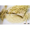 High qulity oats wholesale prices oat price for sale