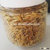 2015high quality export hulled naked oats with best price
