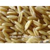 Offer oats wholesale good prices