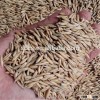 2015good quality oats for importer best service