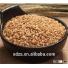 high quality hulled white oats with best oats price