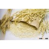 oats seed oats price can be provided from finland