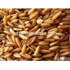 hulled oats wholesale prices