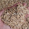 2015 feed oats supplied from Finland