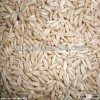 white organic oats for various groups