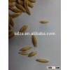 Raw oat for horse from EURO quanlity