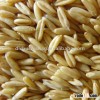 organic oat hulled