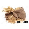 Rolled wheat / cracked wheat/ Hard Red Winter Wheat