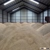 high quality white oats from Finland for horses on sale