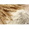wheat Flour