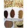 Organic Roasted Buckwheat Kernel