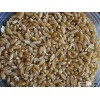 High Quality Semolina Wheat Soft/Durum Wheat