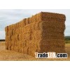 BARLEY/WHEAT STRAW FOR SALE IN LARGE BALES IN COALDALE Watch|Share |Print|Report Ad