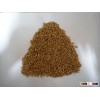 Wheat grain ,soft ,milling, durum, animal feed