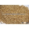 Wheat