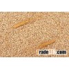 GRADE A WHEAT GRAIN