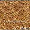 Soft Milling Wheat, Grade II and III, Ukraine