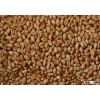 Soft Milling Black Sea Wheat 12,5% (Grade2)