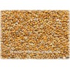 Soft Milling Wheat