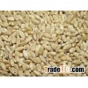 Hard White Wheat