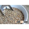 Fermented (red) rye malt grain