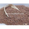 2015 non-GMO Organic glutinous red sorghum sticky sorghum