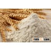 Rye Flour