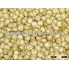 Sorghum Seeds for bird feed